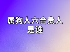 属狗人六合贵人是谁:属兔