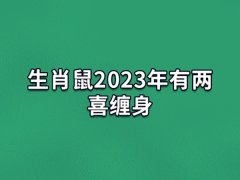 生肖鼠2023年有两喜缠身