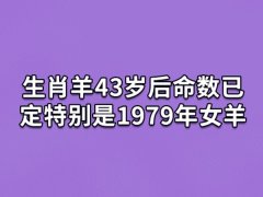 生肖羊43岁后命数已定特别