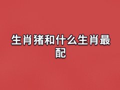 生肖猪和什么生肖最配:生