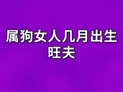 属狗女人几月出生旺夫:三