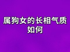 属狗女的长相气质如何:五