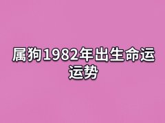 属狗1982年出生命运运势