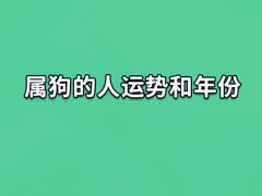 属狗的人运势和年份,不同