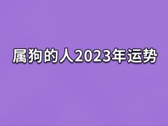 属狗的人2023年运势:事业很