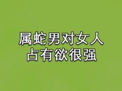 属蛇男对女人占有欲很强