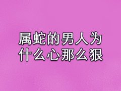 属蛇的男人为什么心那么