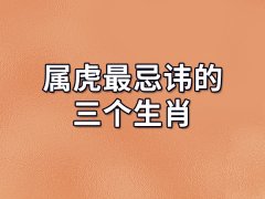 属虎最忌讳的三个生肖:属