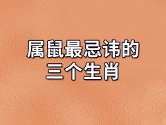 属鼠最忌讳的三个生肖:生