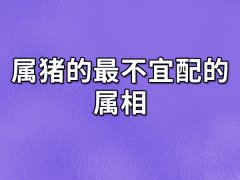 属猪的最不宜配的属相:属