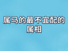 属马的最不宜配的属相:属