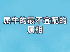 属牛的最不宜配的属相:生