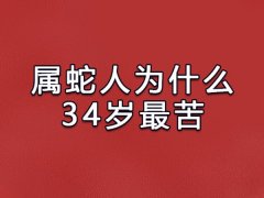 属蛇人为什么34岁最苦:事