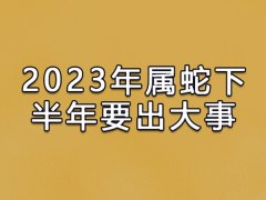 2023年属蛇下半年要出大事