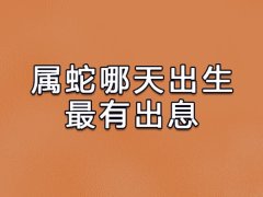 属蛇哪天出生最有出息:农