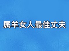 属羊女人最佳丈夫:属兔男