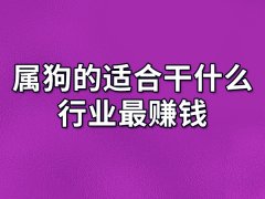 属狗的适合干什么行业最