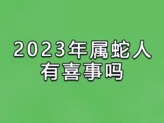 2023年属蛇人有喜事吗:事业