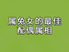 属兔女的最佳配偶属相:属羊/属狗/属猪