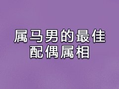 属马男的最佳配偶属相:生