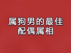 属狗男的最佳配偶属相