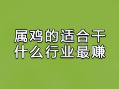 属鸡的适合干什么行业最