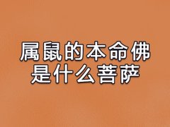 属鼠的本命佛是什么菩萨:千手观音(四大菩萨之一)