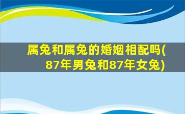 属兔和属兔的婚姻相配吗(87年男兔和87年女兔)