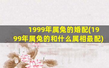 1999年属兔的婚配(1999年属兔的和什么属相最配)