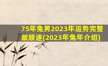 <b>75年兔男2023年运势完整版顺遂(2023年兔年介绍)</b>