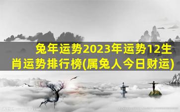 兔年运势2023年运势12生肖运势排行榜(属兔人今日财运)