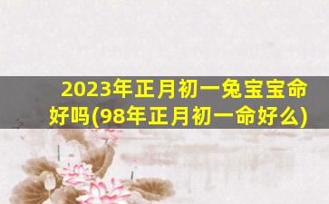 <b>2023年正月初一兔宝宝命好吗(98年正月初一命好么)</b>