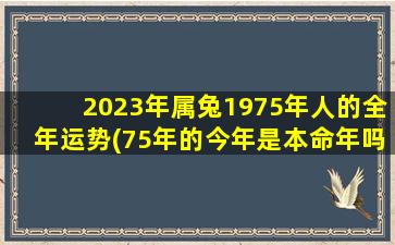 2023年属兔1975年人的全年运势(75年的今年是本命年吗)