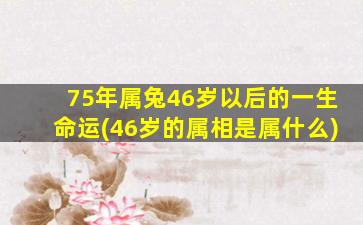 75年属兔46岁以后的一生命运(46岁的属相是属什么)