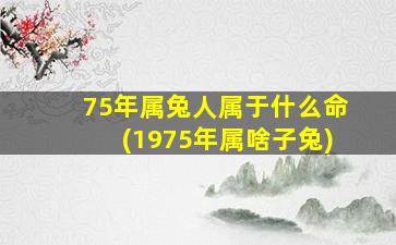 75年属兔人属于什么命(1975年属啥子兔)