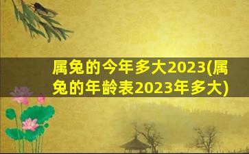 <b>属兔的今年多大2023(属兔的年龄表2023年多大)</b>