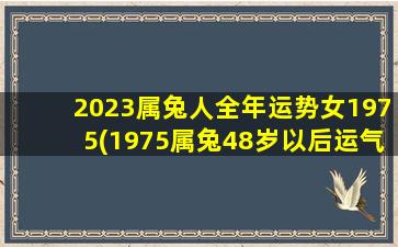 <b>2023属兔人全年运势女1975(1975属兔48岁以后运气如何)</b>