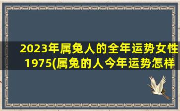 <strong>2023年属兔人的全年运势女</strong>