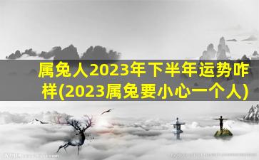 <b>属兔人2023年下半年运势咋样(2023属兔要小心一个人)</b>