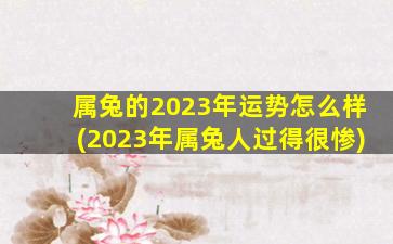 属兔的2023年运势怎么样(2023年属兔人过得很惨)