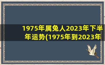 1975年属兔人2023年下半年运势(1975年到2023年多大)