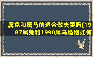 属兔和属马的适合做夫妻吗(1987属兔和1990属马婚姻如何)