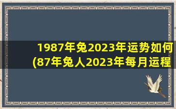 <b>1987年兔2023年运势如何(87年兔人2023年每月运程)</b>