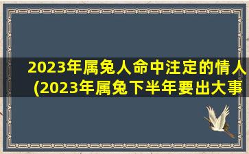 2023年属兔人命中注定的情人(2023年属兔下半年要出大事)