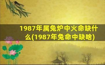 1987年属兔炉中火命缺什么