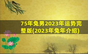 <b>75年兔男2023年运势完整版(2023年兔年介绍)</b>