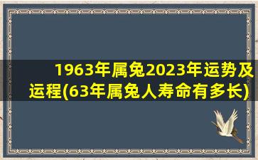 1963年属兔2023年运势及运程(63年属兔人寿命有多长)