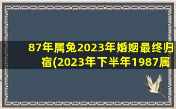 <b>87年属兔2023年婚姻最终归宿(2023年下半年1987属兔爱情)</b>