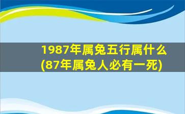 <strong>1987年属兔五行属什么(87年</strong>