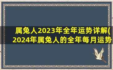 <b>属兔人2023年全年运势详解(2024年属兔人的全年每月运势)</b>